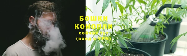 амф Костерёво