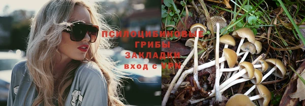 таблы Козельск