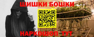 индика Гудермес