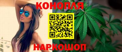 индика Гудермес