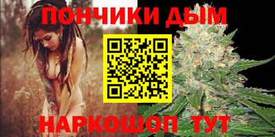 индика Гудермес