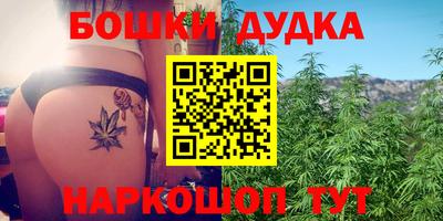 индика Гудермес
