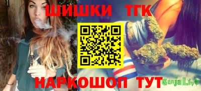 индика Гудермес