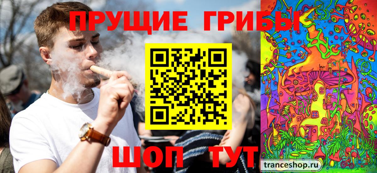 Галлюциногенные грибы Cubensis Красноперекопск